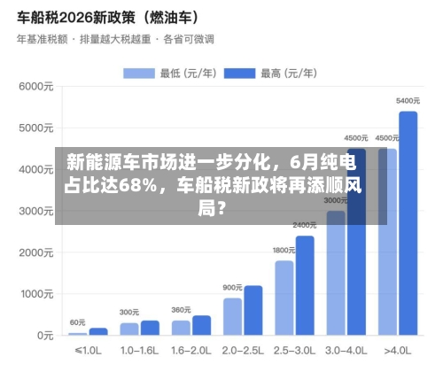 新能源车市场进一步分化，6月纯电占比达68%	，车船税新政将再添顺风局？-第2张图片