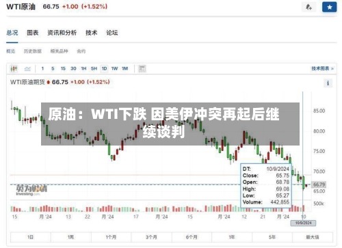 原油：WTI下跌 因美伊冲突再起后继续谈判-第3张图片