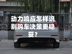 动力响应怎样识别购车决策更稳妥?-第2张图片