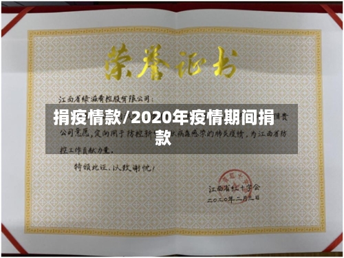 捐疫情款/2020年疫情期间捐款-第3张图片