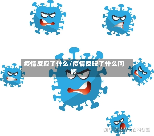 疫情反应了什么/疫情反映了什么问题