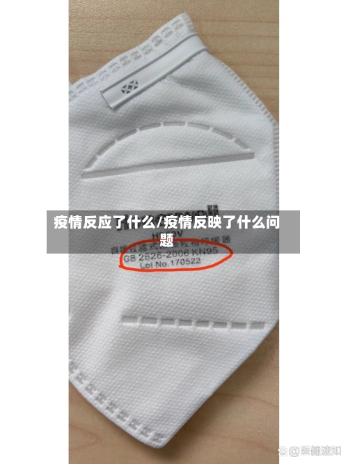 疫情反应了什么/疫情反映了什么问题-第2张图片