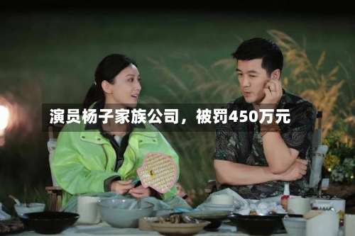 演员杨子家族公司，被罚450万元-第3张图片