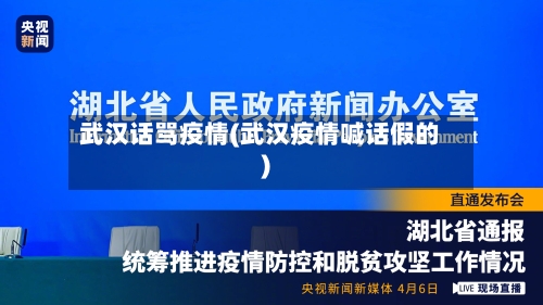 武汉话骂疫情(武汉疫情喊话假的)