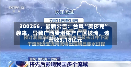 300256	，最新公告：台风“美莎克”袭来，导致广西贵港生产厂区被淹，该厂营收3.18亿元-第2张图片