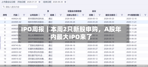 IPO周报｜本周2只新股申购，A股年内最大IPO来了