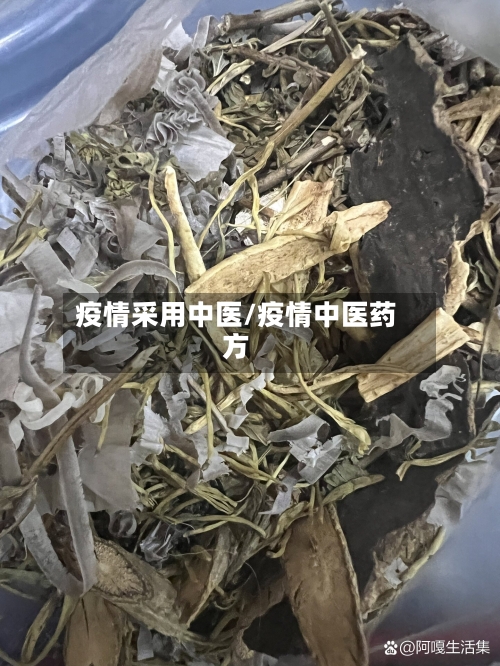 疫情采用中医/疫情中医药方-第2张图片
