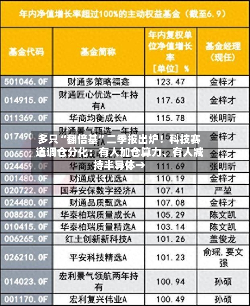 多只“翻倍基	”二季报出炉！科技赛道调仓分化：有人加仓算力	、有人减持半导体→-第2张图片