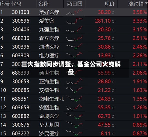 三大指数同步调整，基金公司火线解盘