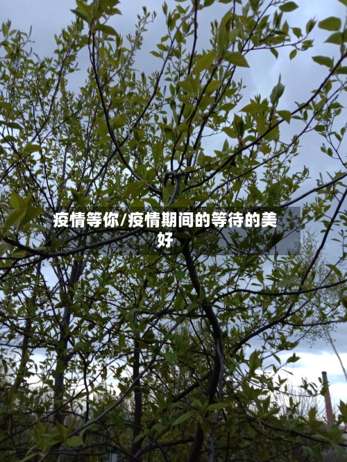 疫情等你/疫情期间的等待的美好