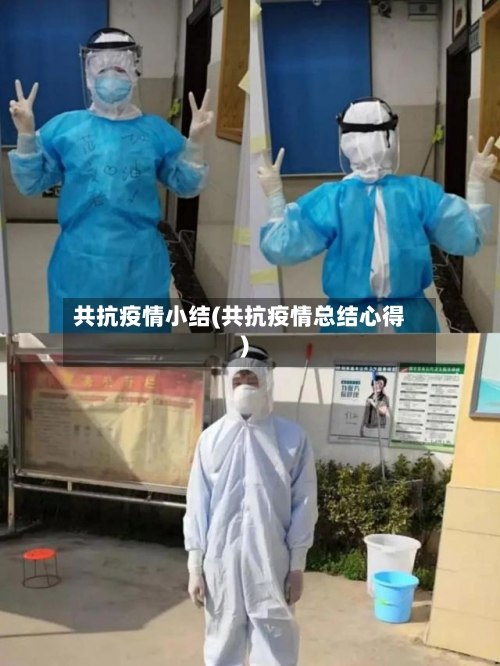 共抗疫情小结(共抗疫情总结心得)-第3张图片