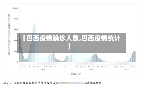 【巴西疫情确诊人数,巴西疫情统计】-第2张图片