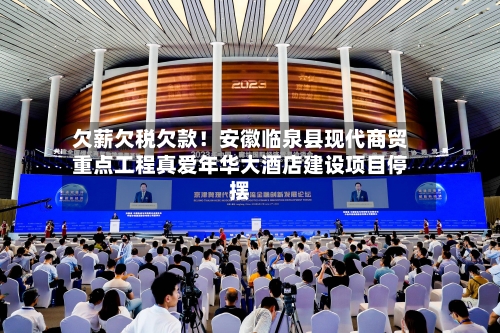 欠薪欠税欠款！安徽临泉县现代商贸重点工程真爱年华大酒店建设项目停摆-第2张图片