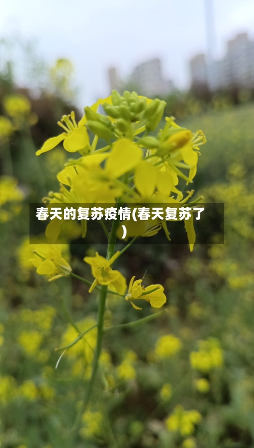 春天的复苏疫情(春天复苏了)-第3张图片