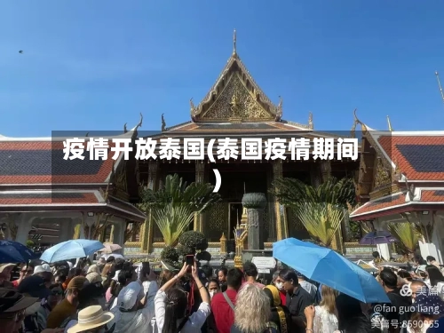疫情开放泰国(泰国疫情期间)