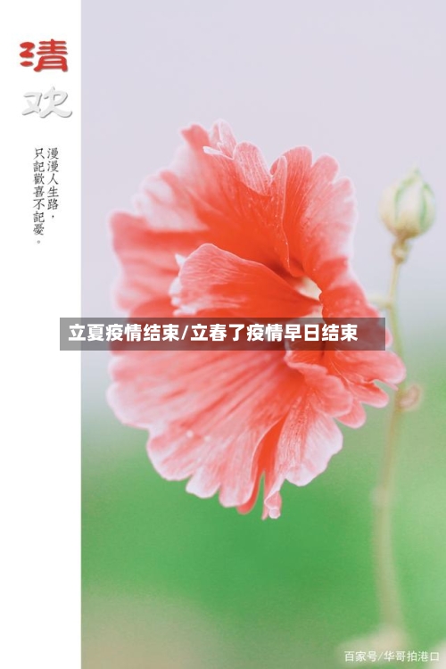 立夏疫情结束/立春了疫情早日结束-第2张图片