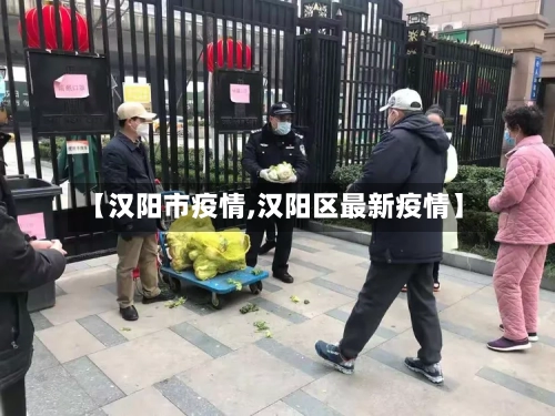 【汉阳市疫情,汉阳区最新疫情】-第2张图片
