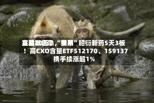 实验猴告急，费用直逼20万！“猴茅”昭衍新药5天3板！高CXO含量ETF512170	、159137携手续涨超1%-第3张图片