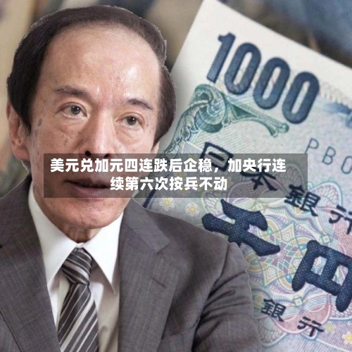 美元兑加元四连跌后企稳	，加央行连续第六次按兵不动-第2张图片
