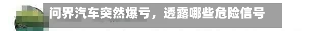 问界汽车突然爆亏，透露哪些危险信号？-第2张图片