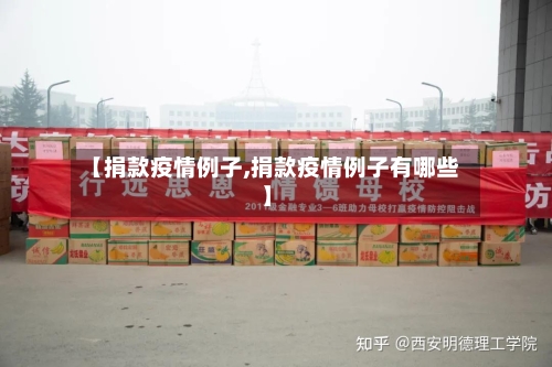 【捐款疫情例子,捐款疫情例子有哪些】