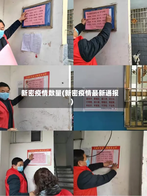 新密疫情数量(新密疫情最新通报)