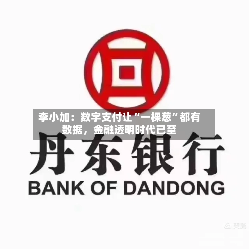李小加：数字支付让“一棵葱”都有数据，金融透明时代已至-第2张图片
