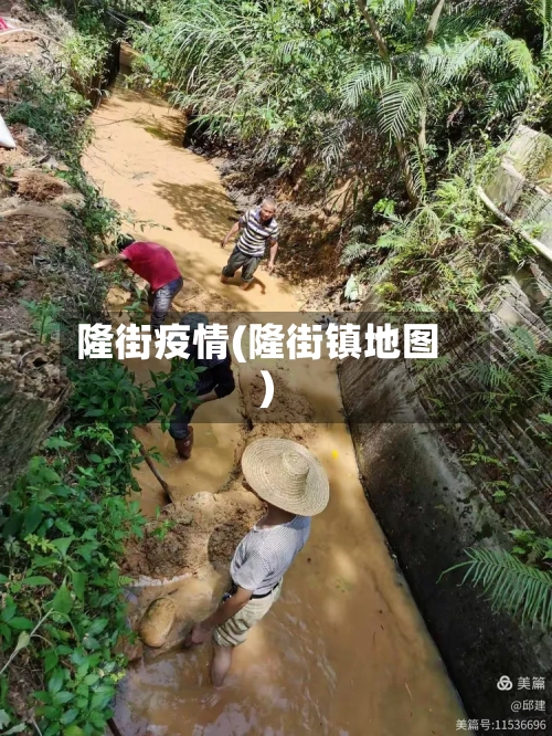 隆街疫情(隆街镇地图)-第3张图片