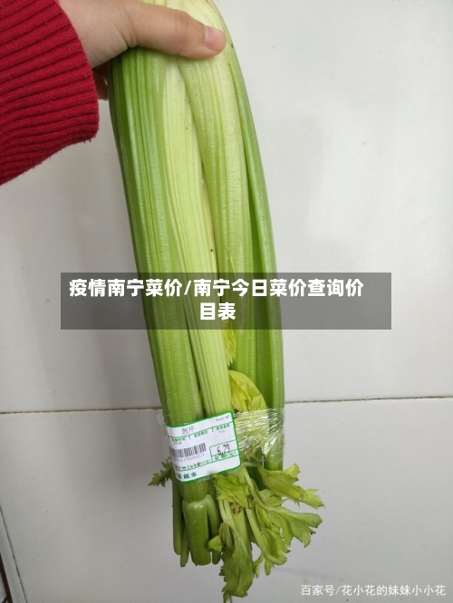 疫情南宁菜价/南宁今日菜价查询价目表-第3张图片