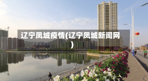 辽宁凤城疫情(辽宁凤城新闻网)