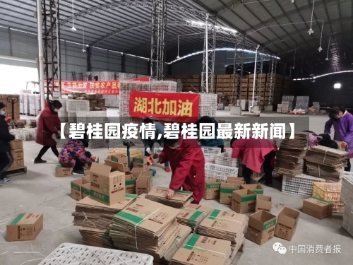 【碧桂园疫情,碧桂园最新新闻】-第3张图片