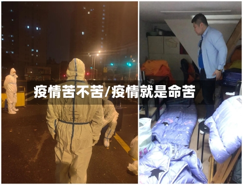 疫情苦不苦/疫情就是命苦-第2张图片