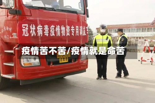 疫情苦不苦/疫情就是命苦