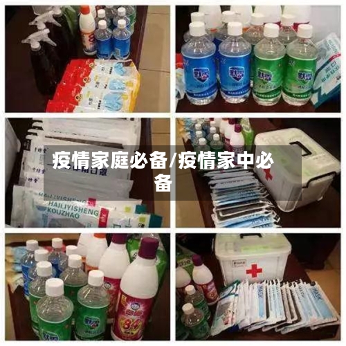 疫情家庭必备/疫情家中必备