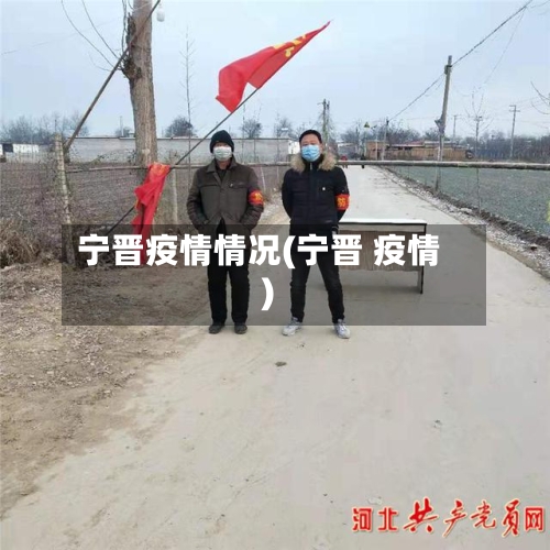 宁晋疫情情况(宁晋 疫情)