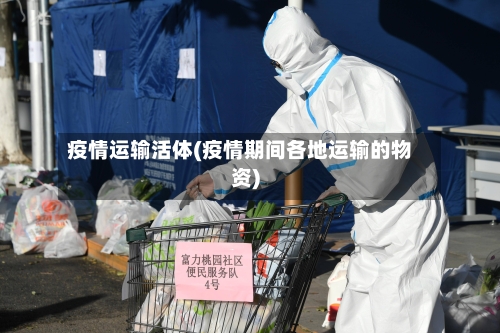 疫情运输活体(疫情期间各地运输的物资)-第2张图片