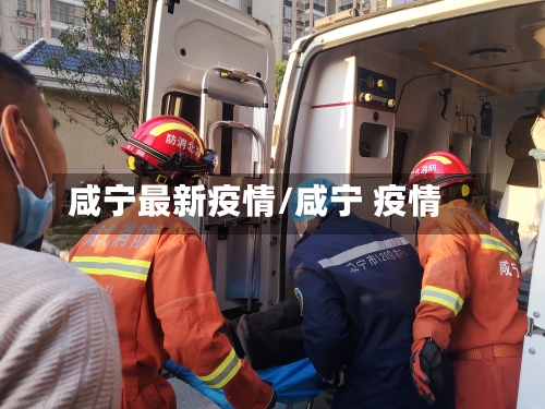 咸宁最新疫情/咸宁 疫情-第2张图片