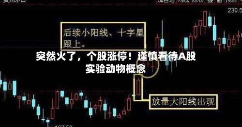 突然火了	，个股涨停！谨慎看待A股实验动物概念-第2张图片