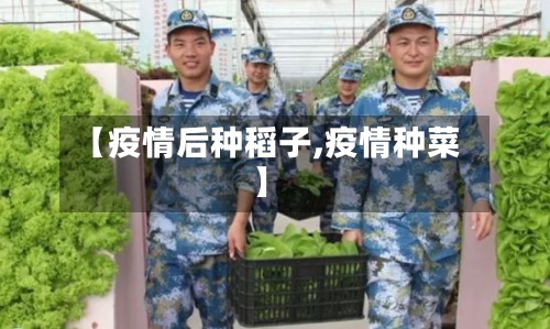 【疫情后种稻子,疫情种菜】-第1张图片