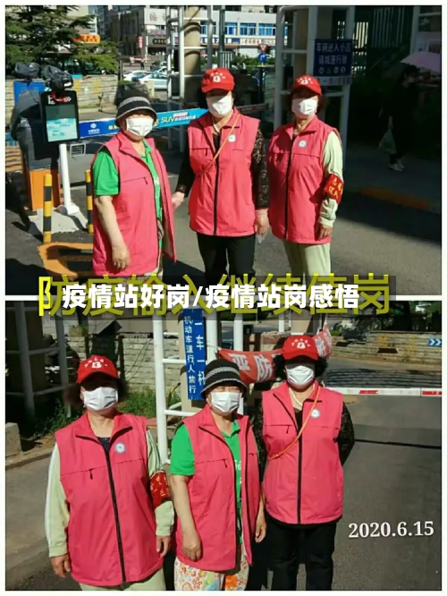 疫情站好岗/疫情站岗感悟