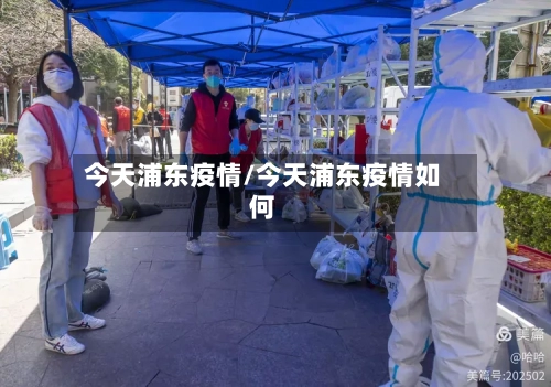 今天浦东疫情/今天浦东疫情如何-第3张图片