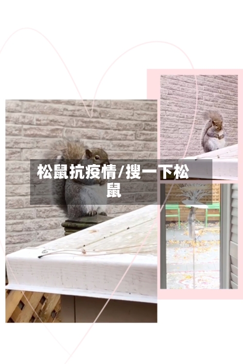 松鼠抗疫情/搜一下松鼠-第2张图片