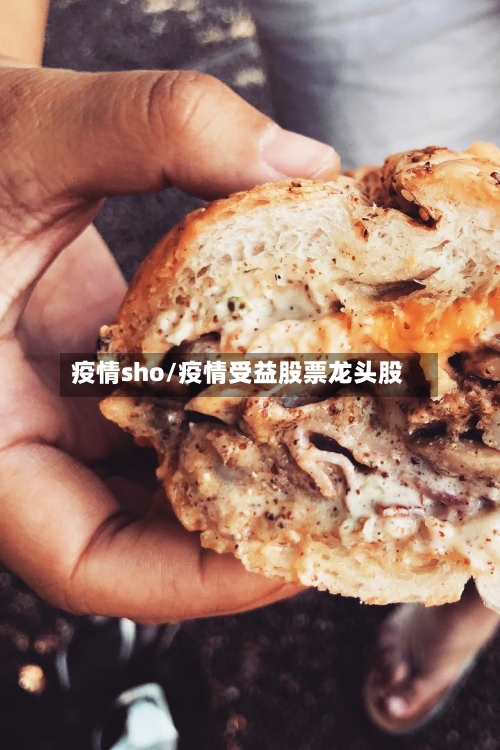 疫情sho/疫情受益股票龙头股-第2张图片