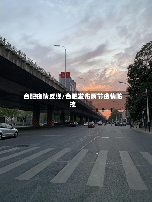 合肥疫情反弹/合肥发布两节疫情防控