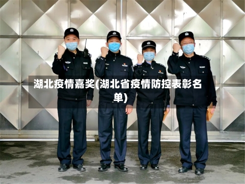 湖北疫情嘉奖(湖北省疫情防控表彰名单)-第2张图片