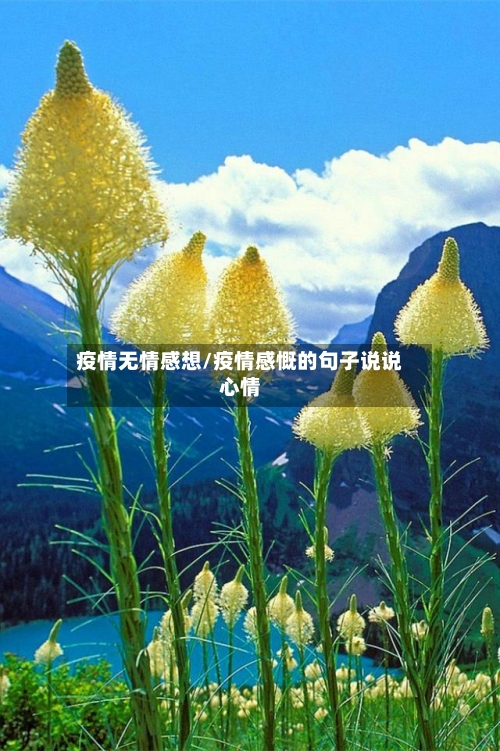 疫情无情感想/疫情感慨的句子说说心情