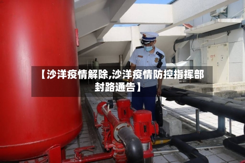 【沙洋疫情解除,沙洋疫情防控指挥部封路通告】-第2张图片