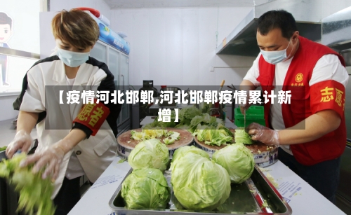 【疫情河北邯郸,河北邯郸疫情累计新增】-第3张图片