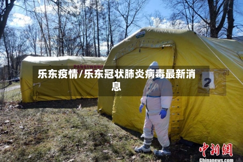 乐东疫情/乐东冠状肺炎病毒最新消息-第2张图片