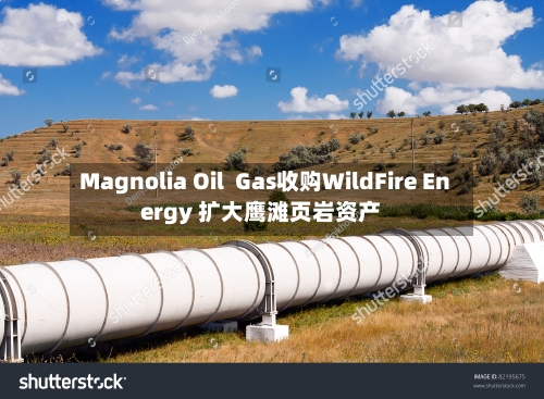 Magnolia Oil  Gas收购WildFire Energy 扩大鹰滩页岩资产-第2张图片